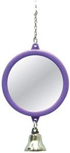 Interactive Round Bird Mirror with Bell, 7.7cm