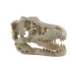 Skull Hideout for Reptiles and Fish Tanks