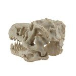 Skull Hideout for Reptiles and Fish Tanks