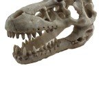 Skull Hideout for Reptiles and Fish Tanks