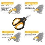 Pet Nail Clippers and Trimmers for Small Pets