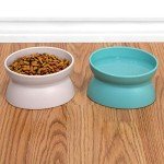 Kitty City Elevated Cat Food and Water Bowl