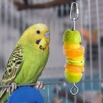 Bird Cage Feeder Skewer for Parrots & Budgies