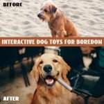 Cigarette Shape Squeaky Toy for Dogs