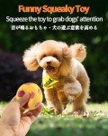 Squeaky Dog Balls - 4 Pack Fetch Toys