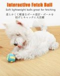Squeaky Dog Balls - 4 Pack Fetch Toys