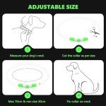 Rechargeable LED Dog Collar for Night Walks (Green)