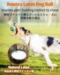 Squeaky Dog Balls - 4 Pack Fetch Toys