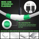 Rechargeable LED Dog Collar for Night Walks (Green)