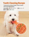 Squeaky Dog Balls - 4 Pack Fetch Toys