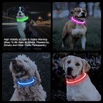 Rechargeable LED Dog Collar for Night Walks (Green)