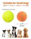 Squeaky Dog Balls - 4 Pack Fetch Toys