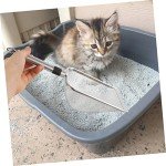 Stainless Steel Cat & Reptile Litter Scoop
