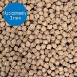 API Shrimp Bottom Feeder Pellets for Fish
