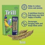 Millet Spray for Birds - 150g Bird Treat
