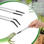 Long Stainless Steel Reptile Feeding Tongs - 2 Pcs