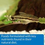 API Shrimp Bottom Feeder Pellets for Fish