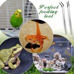 Long Stainless Steel Reptile Feeding Tongs - 2 Pcs