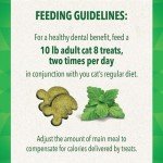 KOMUS Feline Greenies Natural Dental Treats 51-57g