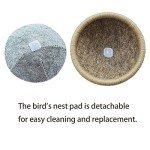 Canary Finch Parrot Nest with Felt - 4.5