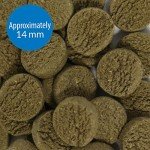 Sinking Wafers for Algae Eating Fish