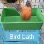 2 PCS Hanging Bird Bathtub with Side Hooks