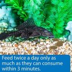 Sinking Wafers for Algae Eating Fish