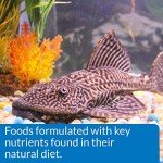 Sinking Wafers for Algae Eating Fish