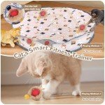 Interactive Automatic Cat Toy Rolling Ball Set