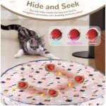 Interactive Automatic Cat Toy Rolling Ball Set