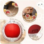 Interactive Automatic Cat Toy Rolling Ball Set