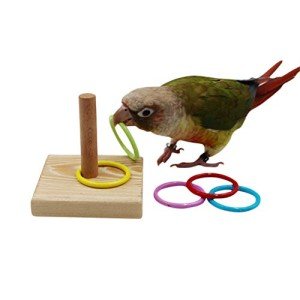 Wooden Puzzle Toy for Parakeets and Cockatiels