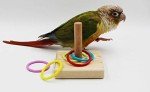 Wooden Puzzle Toy for Parakeets and Cockatiels