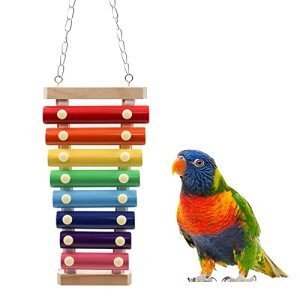 Colorful Bird Xylophone Toy with 8 Metal Keys
