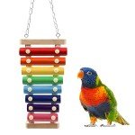 Colorful Bird Xylophone Toy with 8 Metal Keys