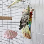 Colorful Bird Xylophone Toy with 8 Metal Keys