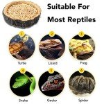 CalPalmy 2-Pack Reptile Food and Water Bowls