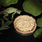 CalPalmy 2-Pack Reptile Food and Water Bowls