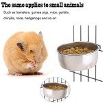 Stainless Steel Bird Feed Bowls with Clamps - 2 Pack