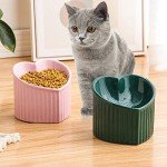 Elevated Anti-Vomit Cat Bowl - 180 ml