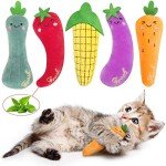 ETEKYER Interactive Cat Toys with Catnip