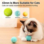 Interactive Automatic Cat Ball Toy with Light
