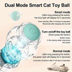 Interactive Automatic Cat Ball Toy with Light