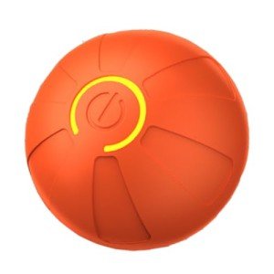 Interactive Smart Bouncing Ball Toy for Dogs