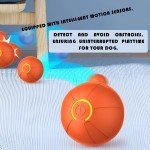 Interactive Smart Bouncing Ball Toy for Dogs