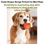 Interactive Smart Bouncing Ball Toy for Dogs
