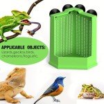 AIMALL Dual-Size Suction Cup Insect Feeder