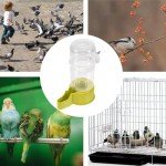 Automatic Bird Water Feeder for Small Birds