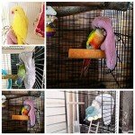 Cozy Fleece Bird Blanket and Cuddle Nest