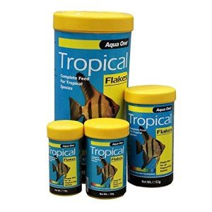 Tropical Flake Fish Food for Aquariums 180g